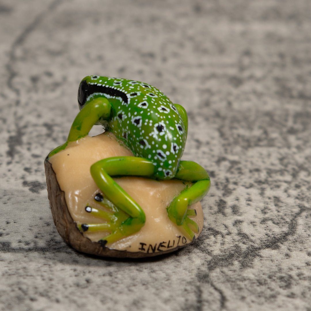 Black White And Green Poison Dart Frog Tagua Carving