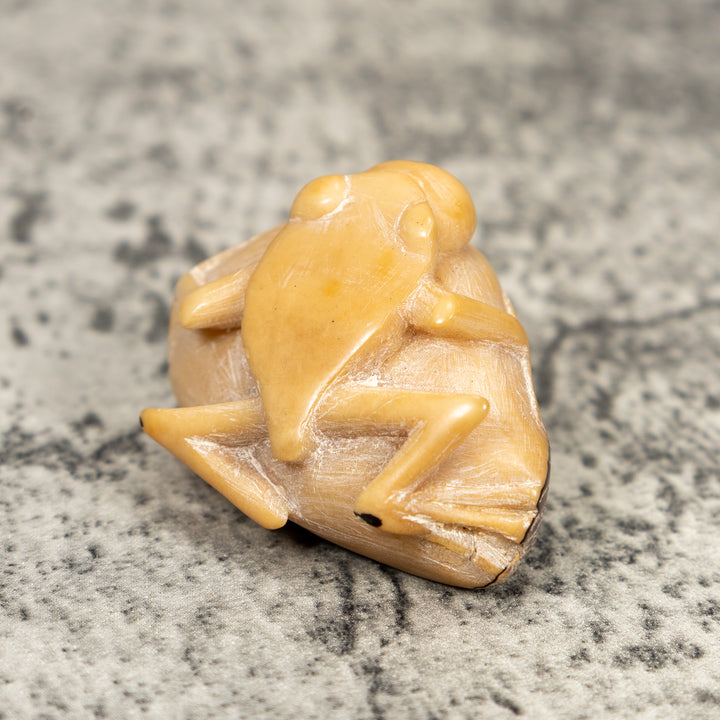 Natural White Blow Throat Frog Tagua Carving