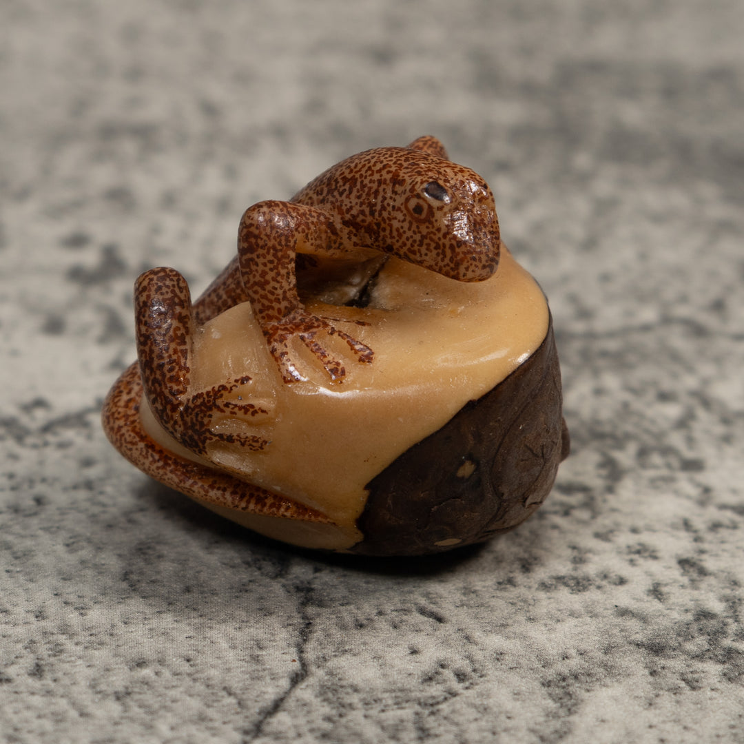 Brown Gecko Lizard Tagua Carving