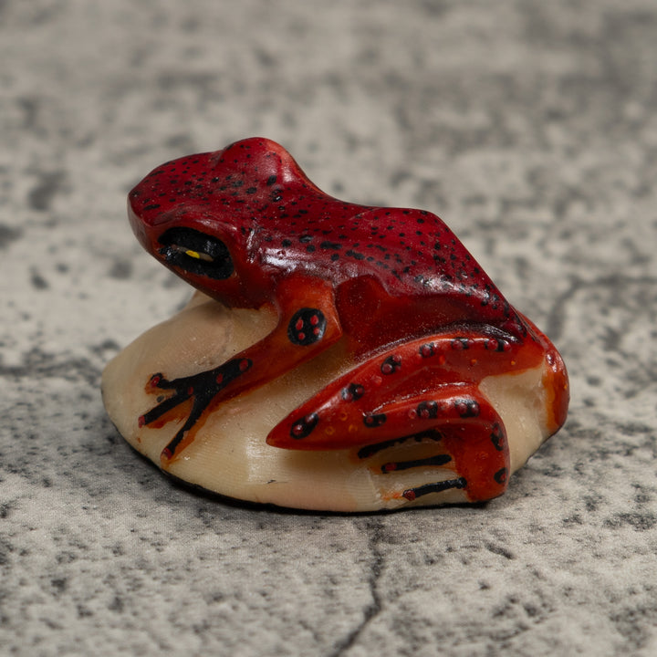 Vintage Red And Black Poison Dart Frog Tagua Carving