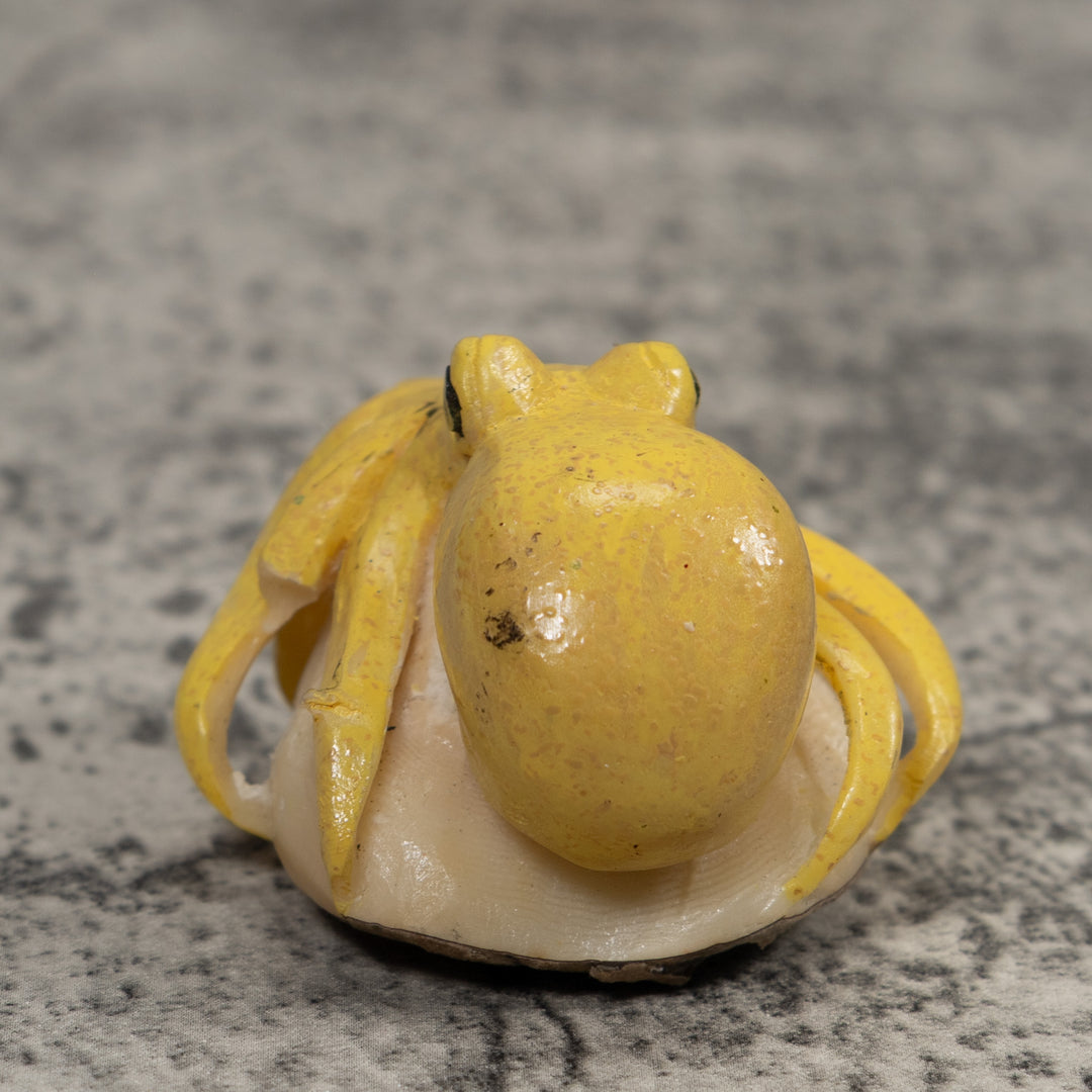 Octopus Squid Tagua Carving