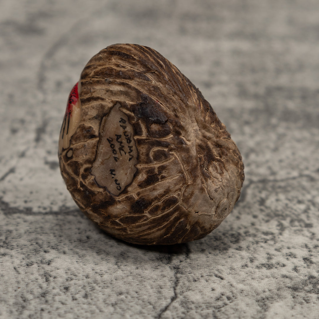 Poison Dart Frog Tagua Carving