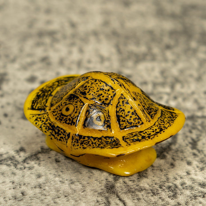 Vintage Turtle Shell Tagua Carving