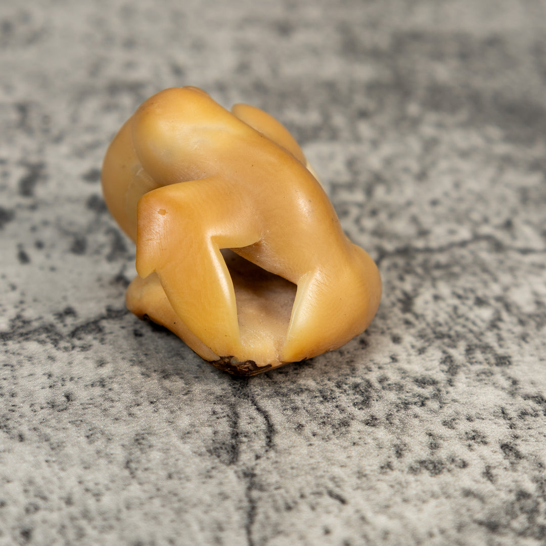 Vintage Natural White Toucan Parrot Bird Tagua Carving