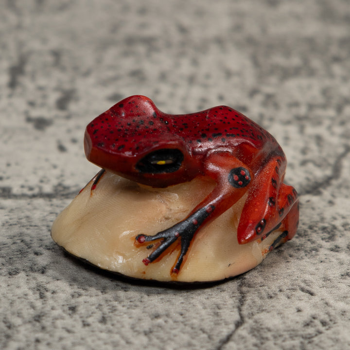 Vintage Red And Black Poison Dart Frog Tagua Carving