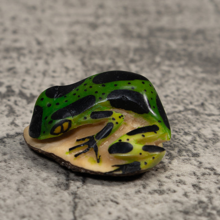 Vintage Green And Black Poison Dart Frog Tagua Carving