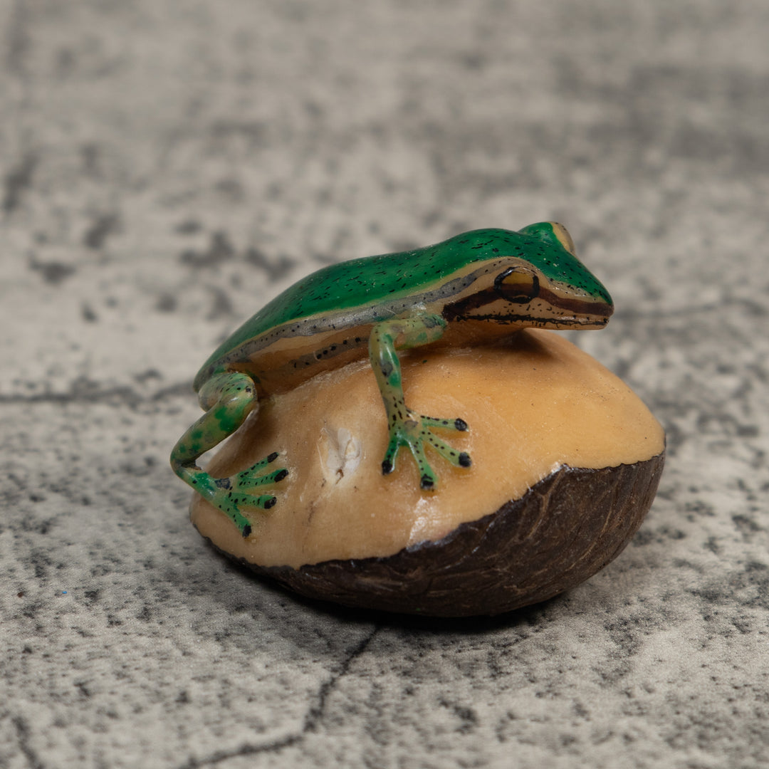 Green and Black Poison Dart Frog Tagua Carving