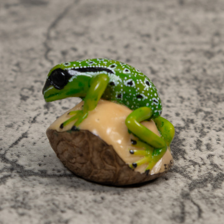 Black White And Green Poison Dart Frog Tagua Carving