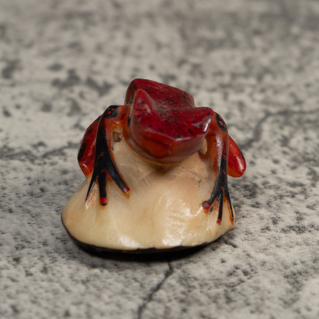 Vintage Red And Black Poison Dart Frog Tagua Carving