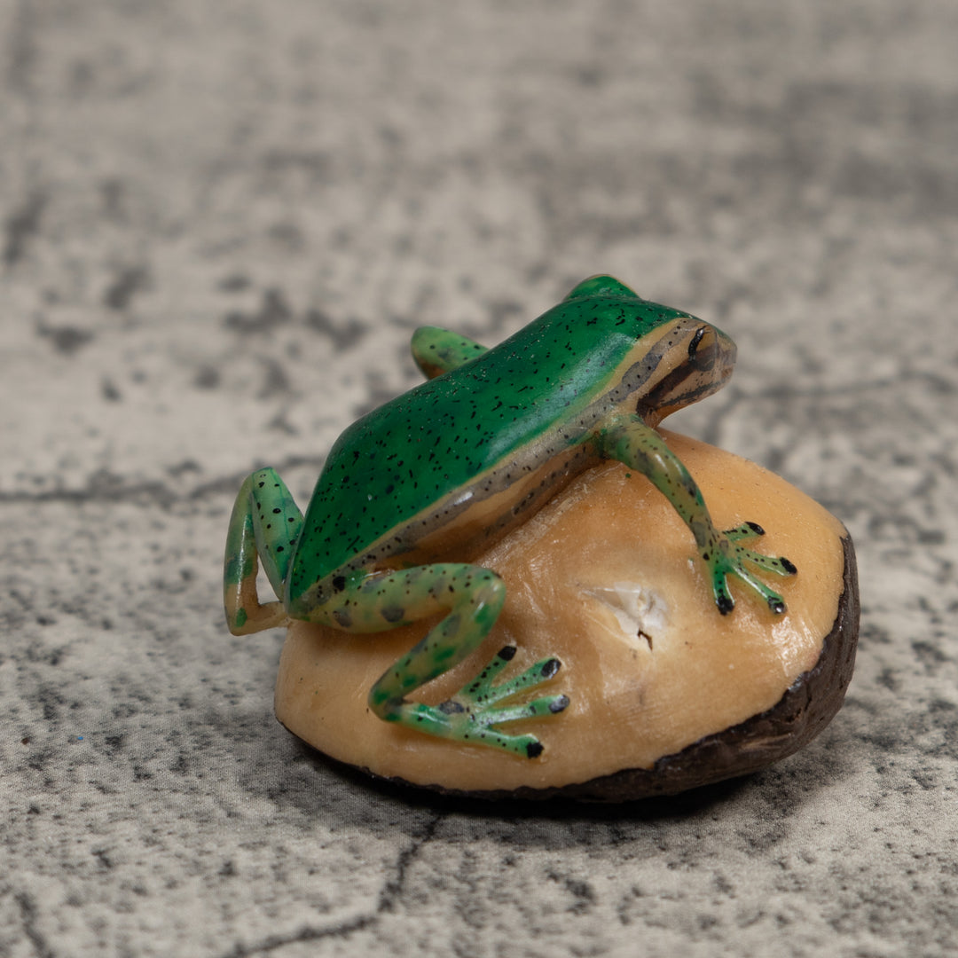 Green and Black Poison Dart Frog Tagua Carving