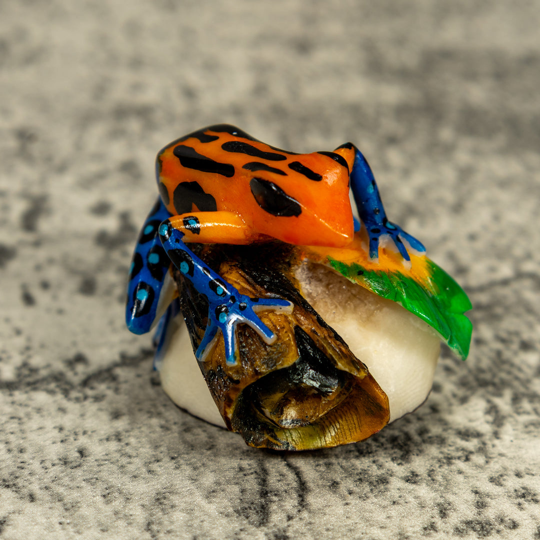 Blue Orange And Black Poison Dart Frog Tagua Carving