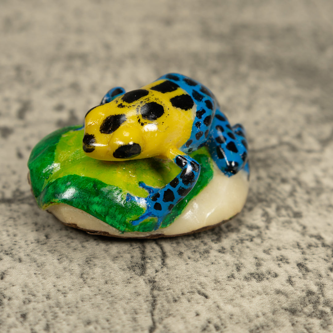 Blue And Yellow Poison Dart Frog Tagua Carving
