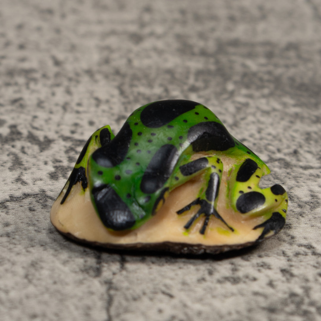Vintage Green And Black Poison Dart Frog Tagua Carving