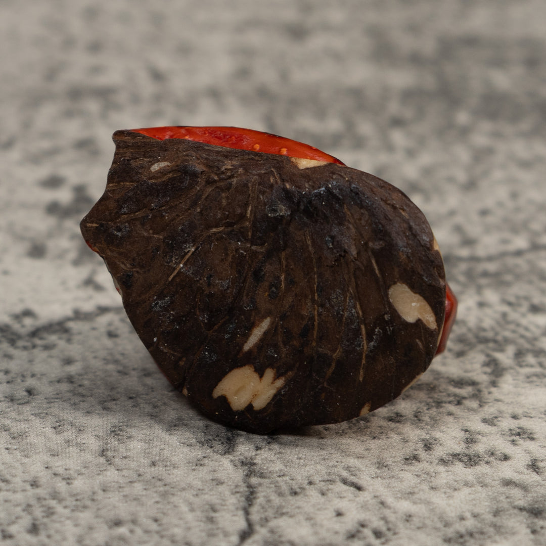 Vintage Red And Black Poison Dart Frog Tagua Carving