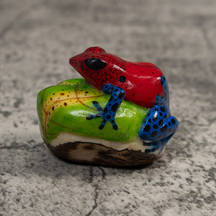 Red And Blue Poison Dart Frog Tagua Carving