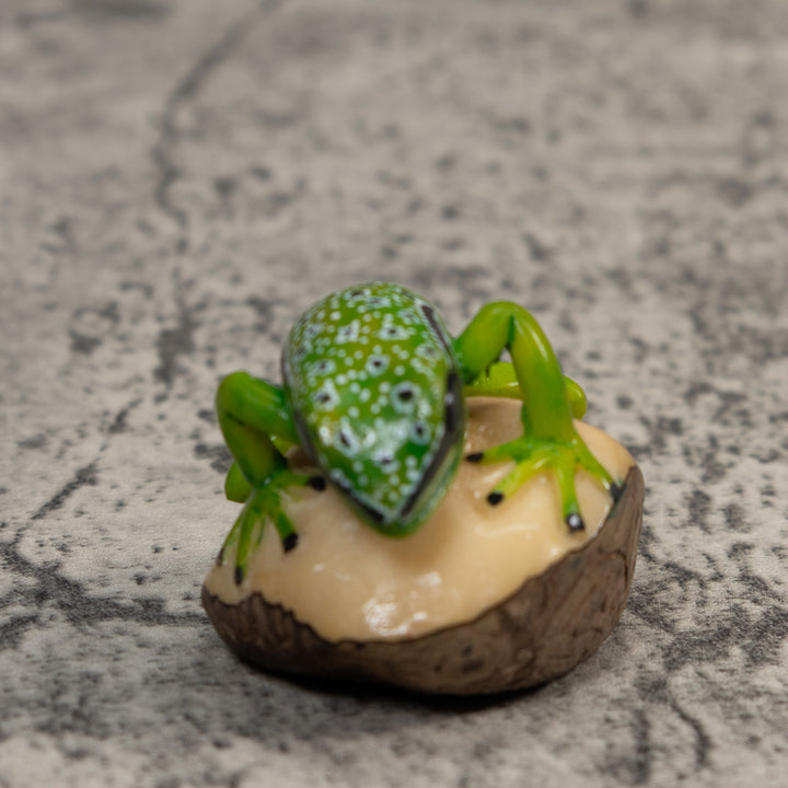 Black White And Green Poison Dart Frog Tagua Carving