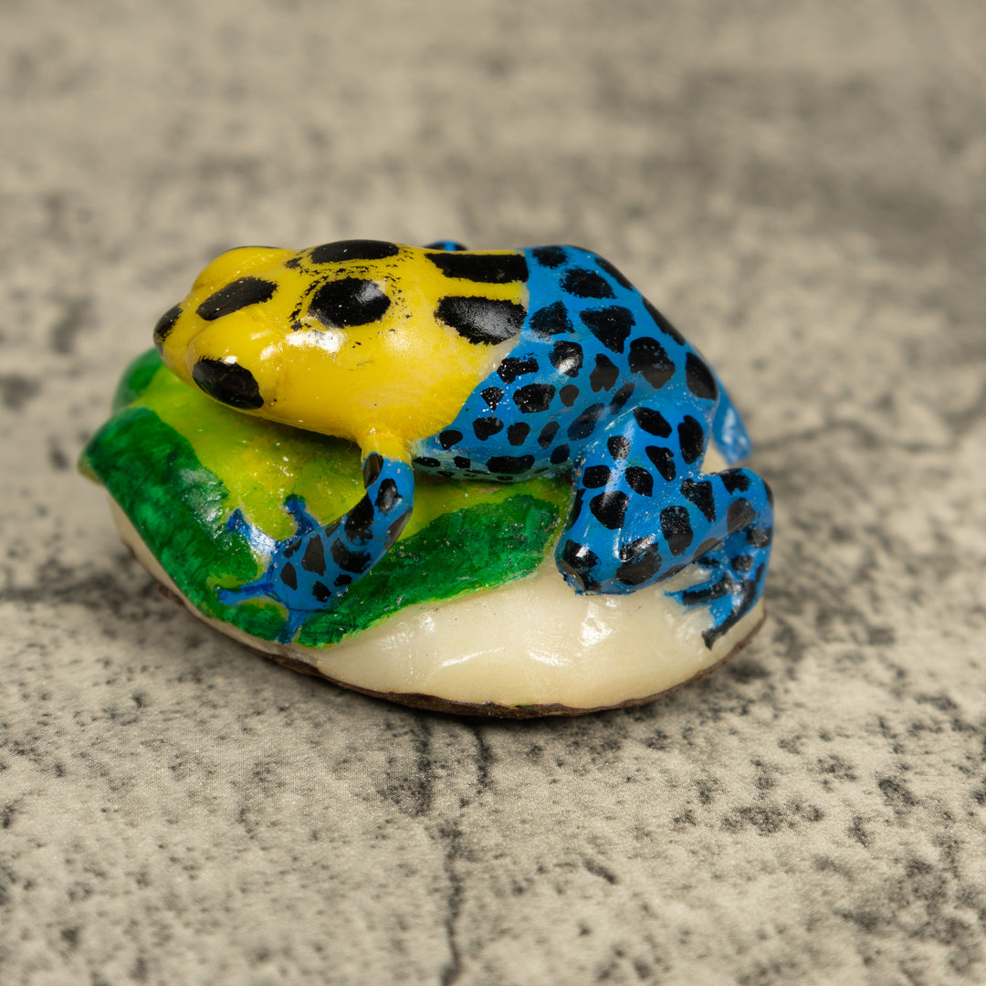 Blue And Yellow Poison Dart Frog Tagua Carving