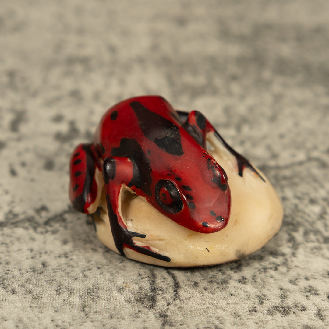 Red And Black Poison Dart Frog Tagua Carving