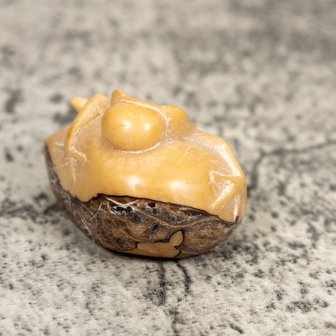 Natural White Blow Throat Frog Tagua Carving