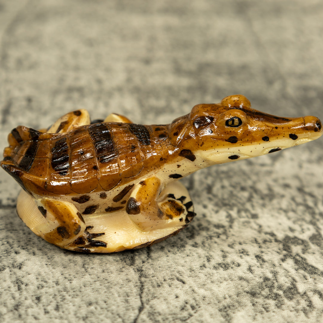 Alligator Crocodile Caiman Tagua Carving