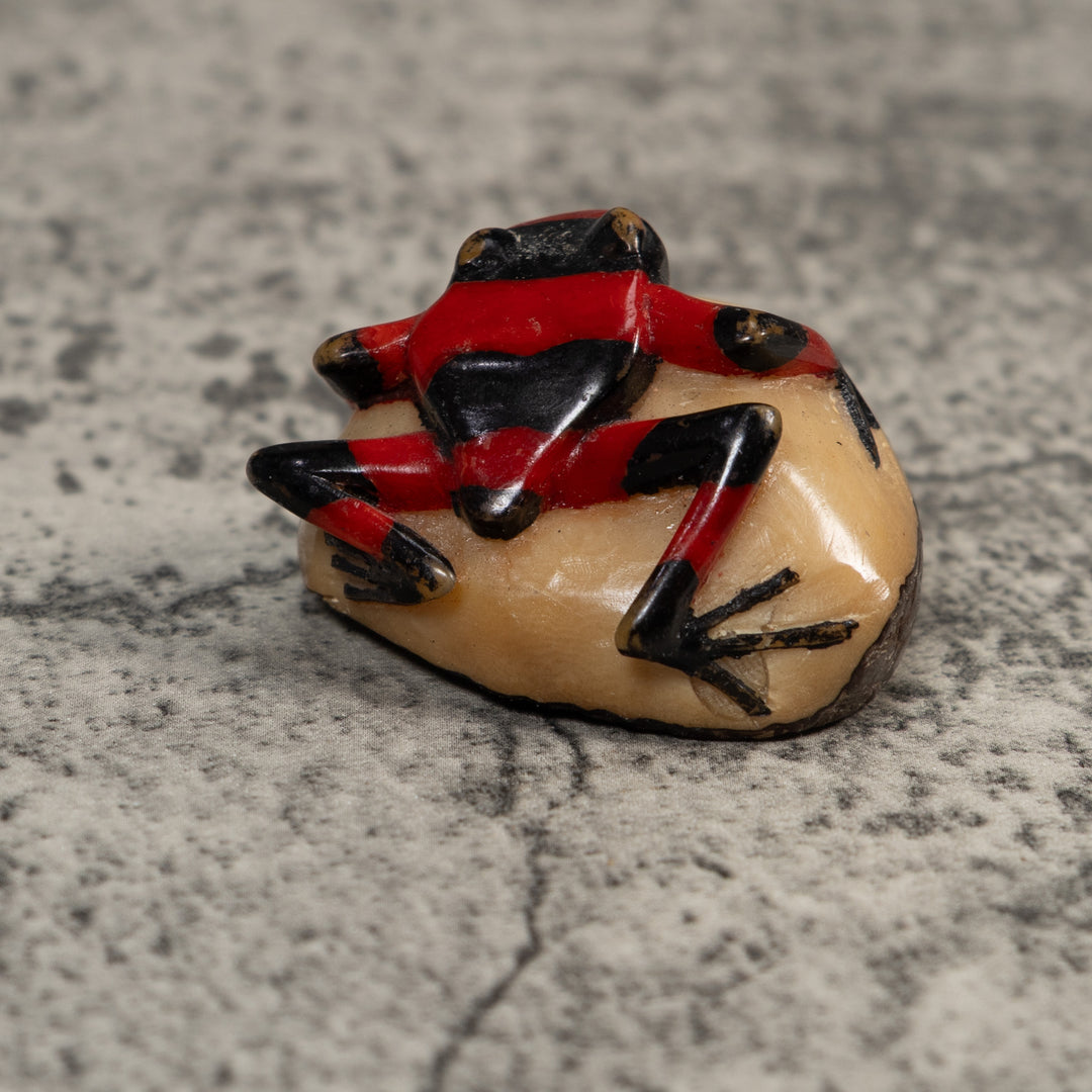 Red And Black Poison Dart Frog Tagua Carving