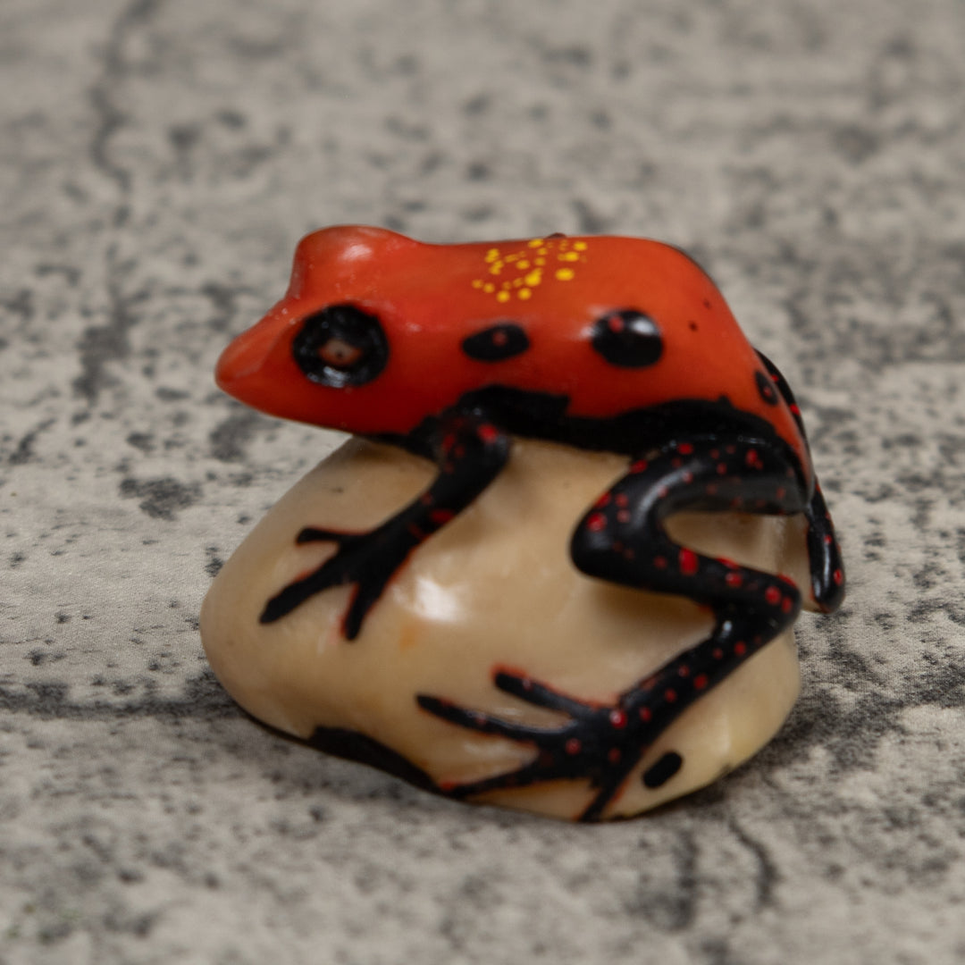 Vintage Poison Dart Frog Tagua Carving