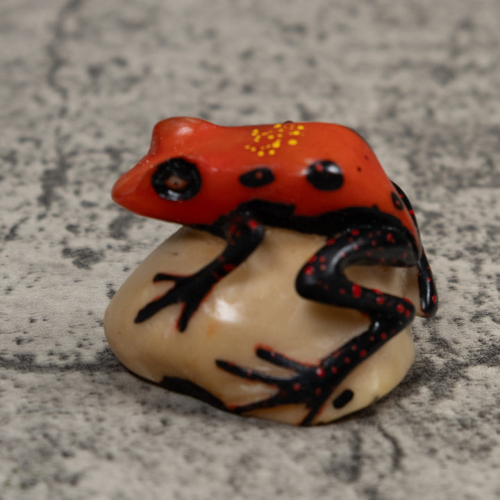 Vintage Poison Dart Frog Tagua Carving
