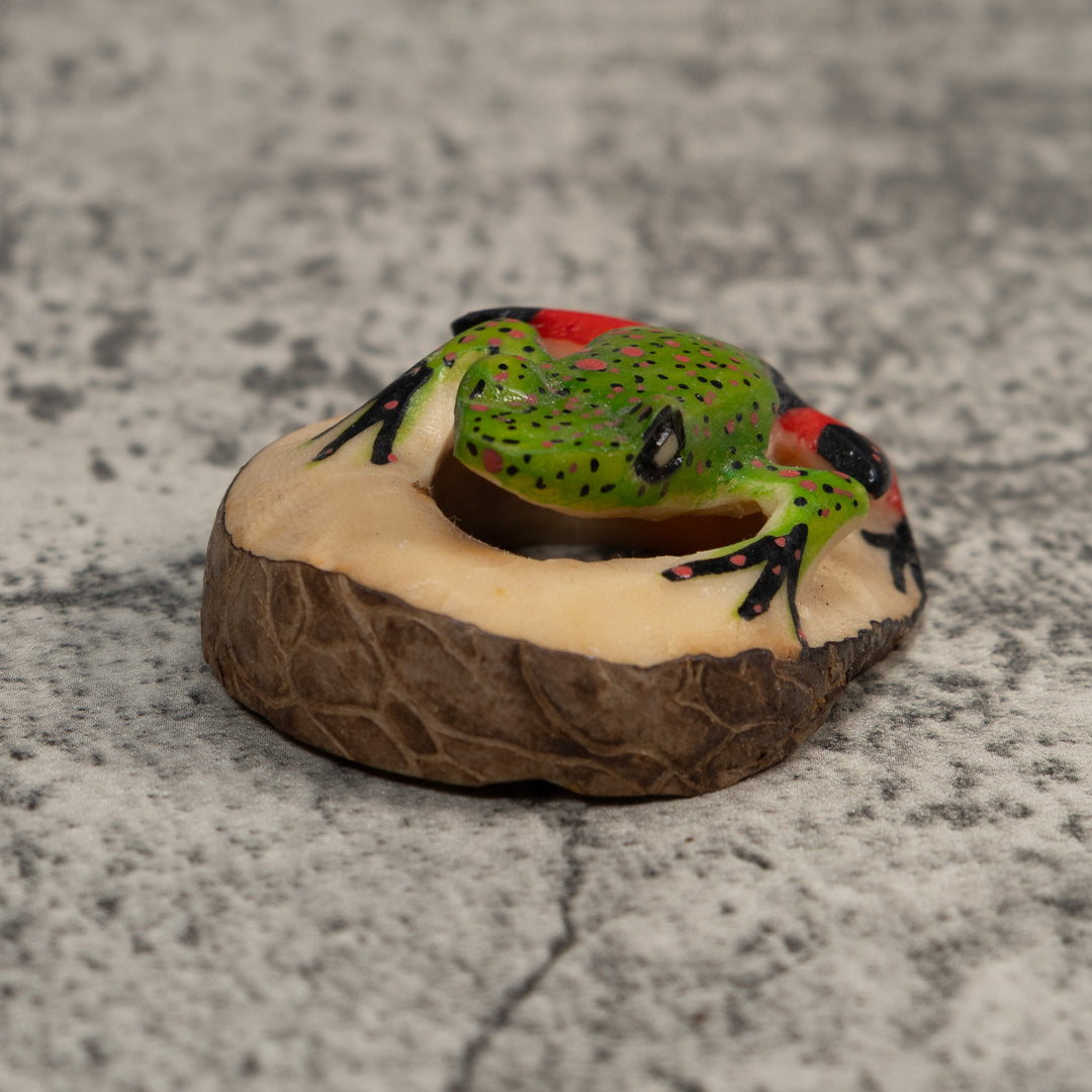 Red And Green Poison Dart Frog Tagua Carving