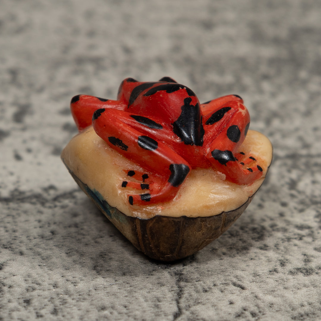 Vintage Black And Red Frog Tagua Carving