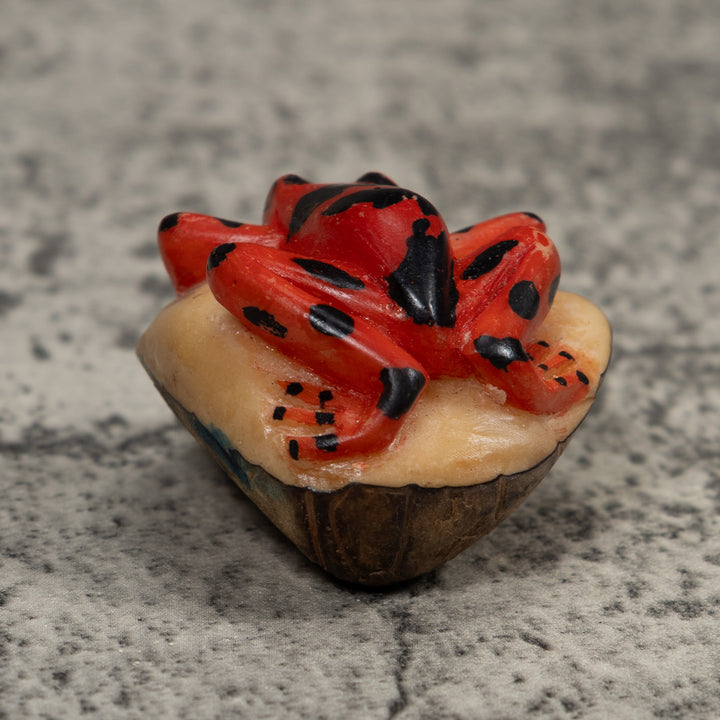 Vintage Black And Red Frog Tagua Carving
