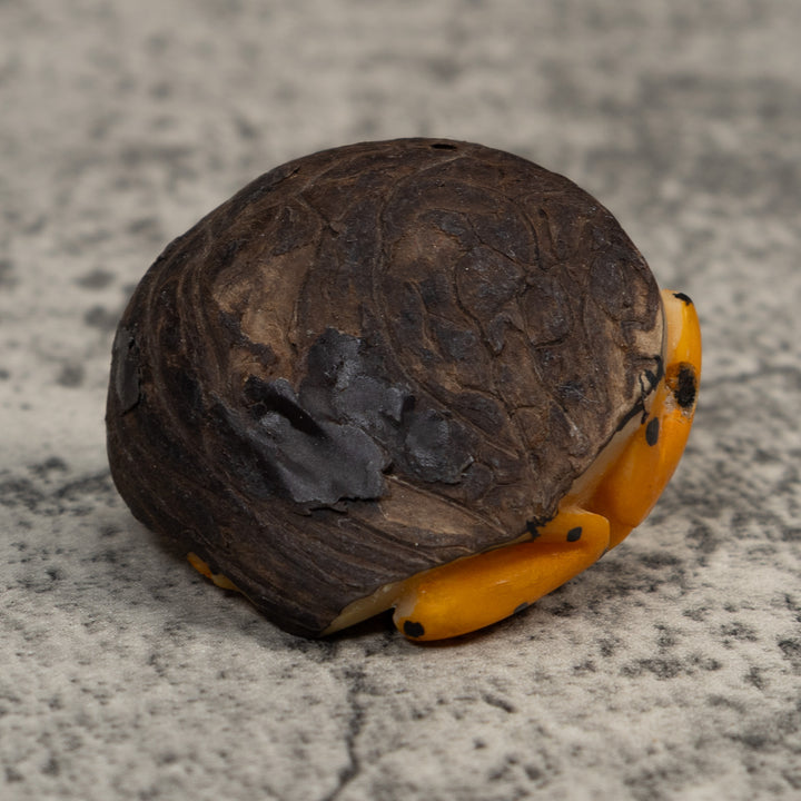 Golden Frog Tagua Carving
