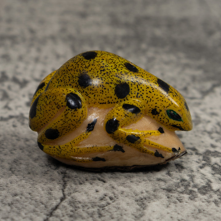 Vintage Black And Gold Frog Tagua Carving
