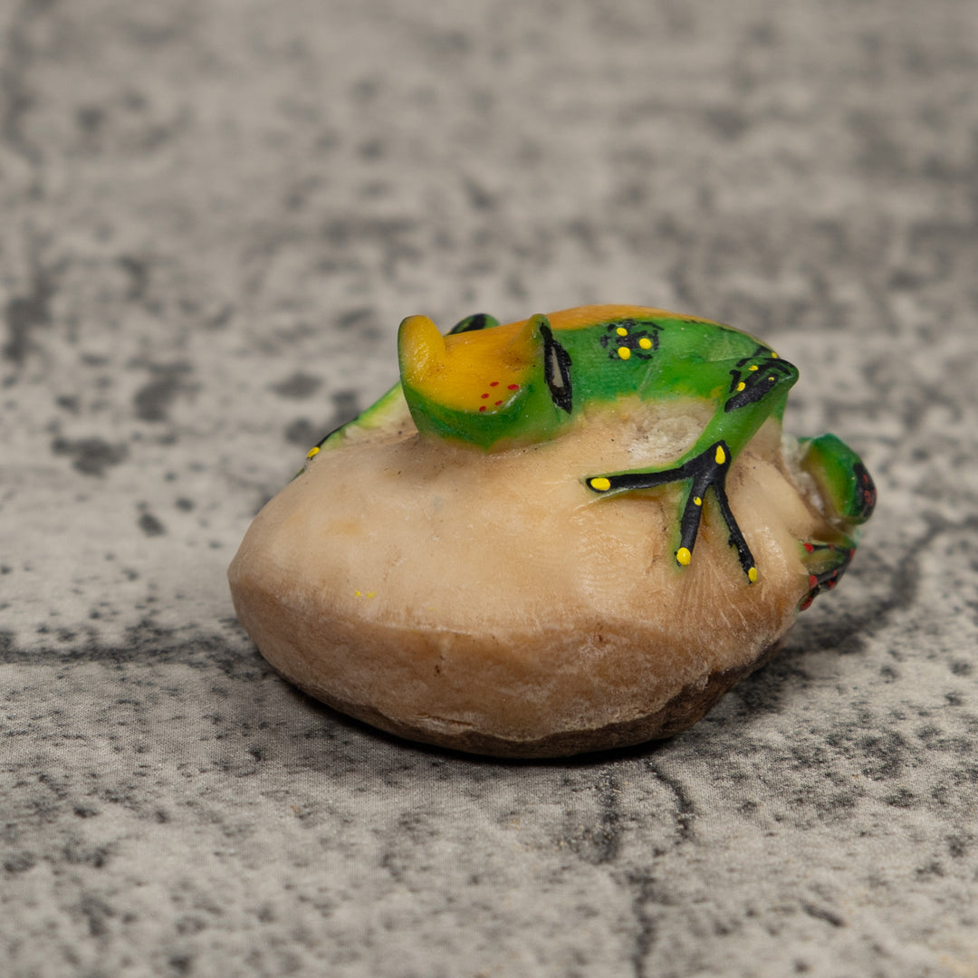 Vintage Green Yellow And Black Frog Tagua Carving