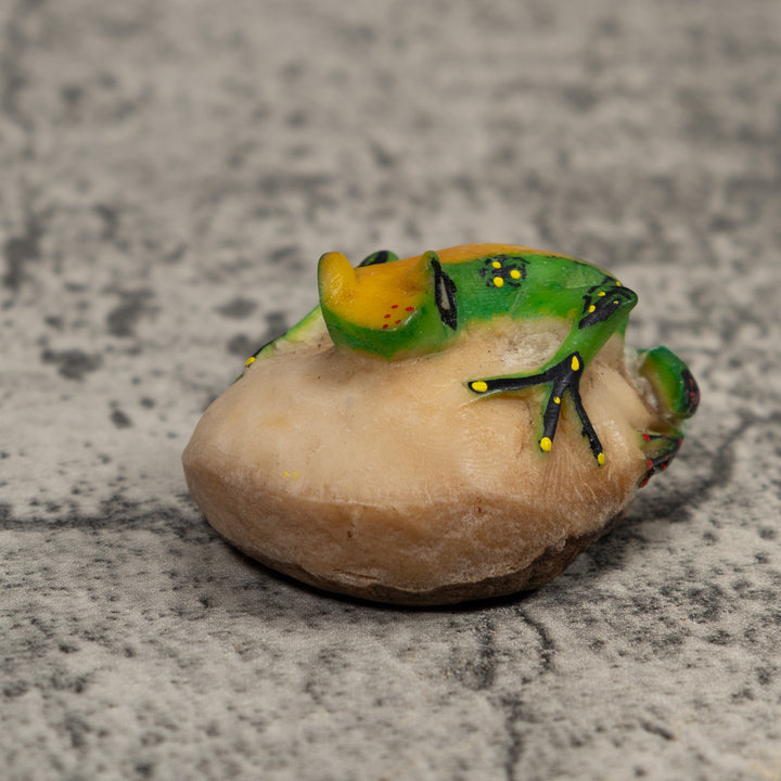 Vintage Green Yellow And Black Frog Tagua Carving