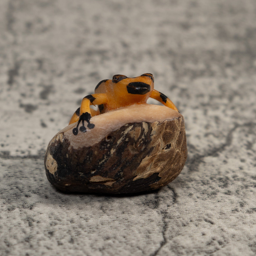 Vintage Gold And Black Poison Dart Frog Tagua Carving