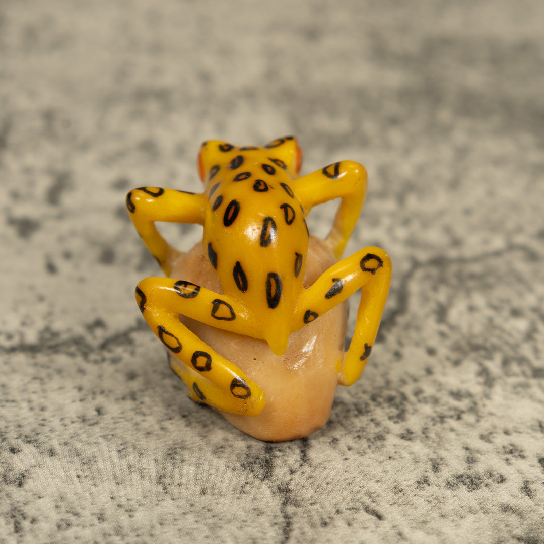 Vintage Golden Frog Tagua Carving