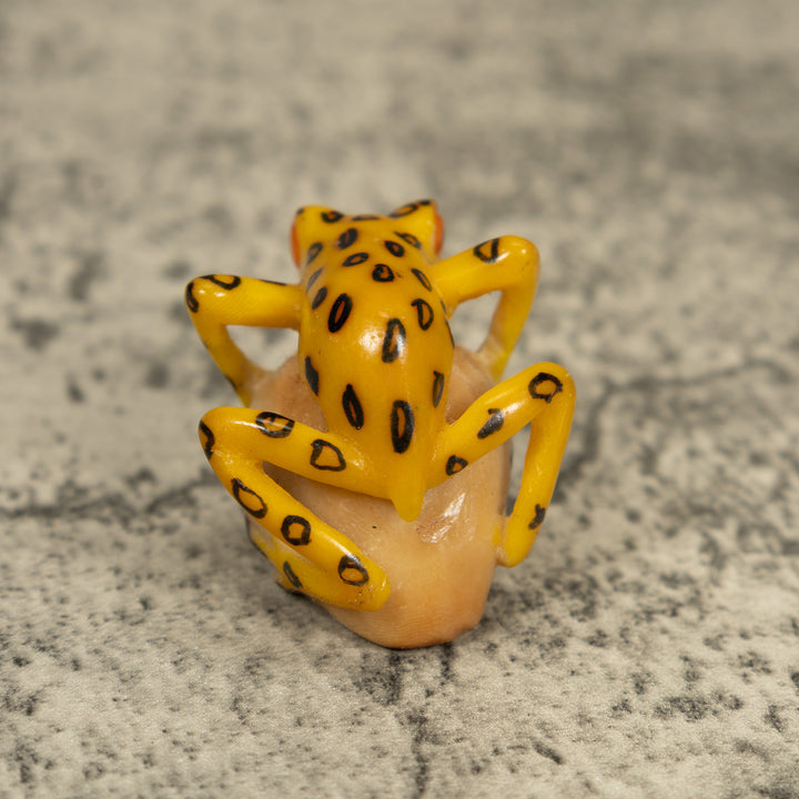 Vintage Golden Frog Tagua Carving