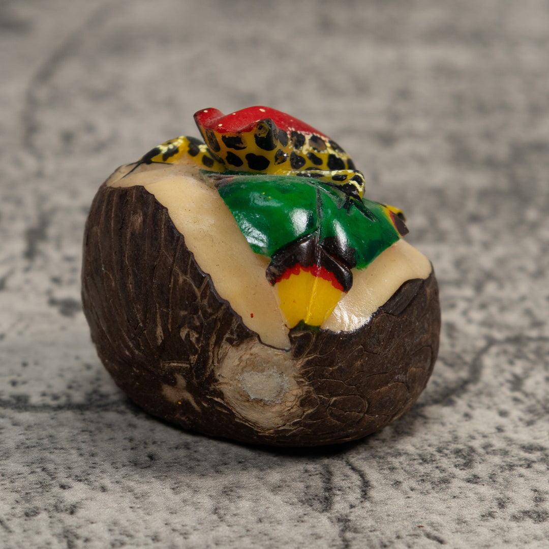 Red Yellow And Black Poison Dart Frog Tagua Carving