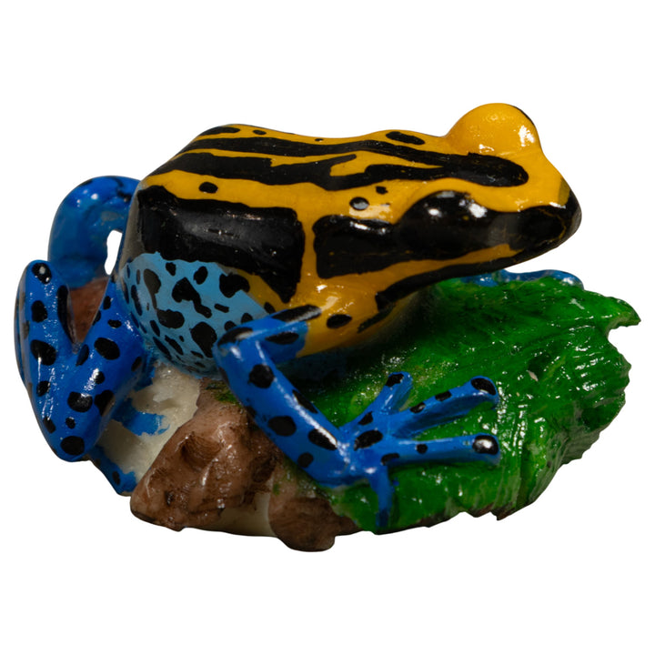 Blue Golden And Black Poison Dart Frog Tagua Carving
