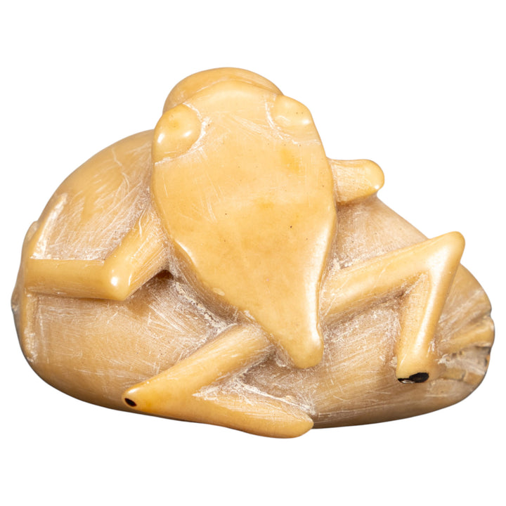 Natural White Blow Throat Frog Tagua Carving