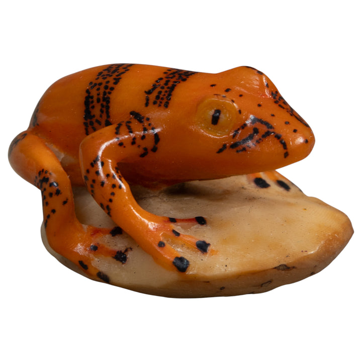 Vintage Gold And Black Poison Dart Frog Tagua Carving
