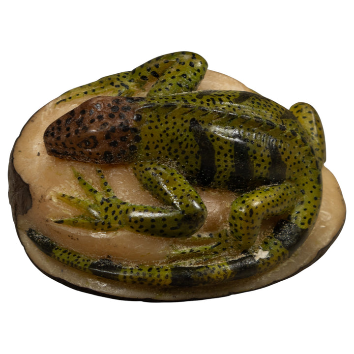Vintage Iguana Lizard Reptile Tagua Carving