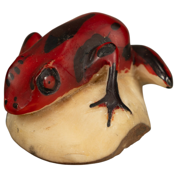 Red And Black Poison Dart Frog Tagua Carving
