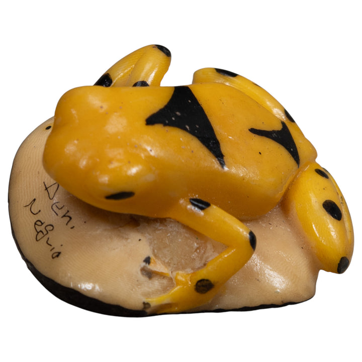 Vintage Gold And Black Frog Tagua Carving