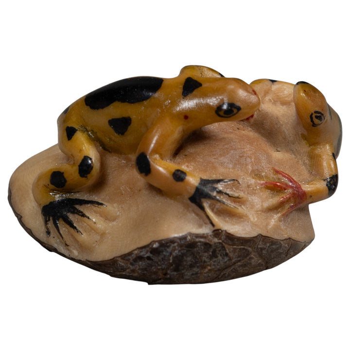Double Gold And Black Poison Dart Frog Tagua Carving