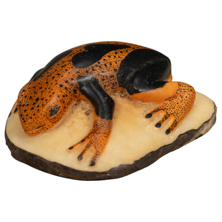 Black And Orange Poison Dart Frog Tagua Carving