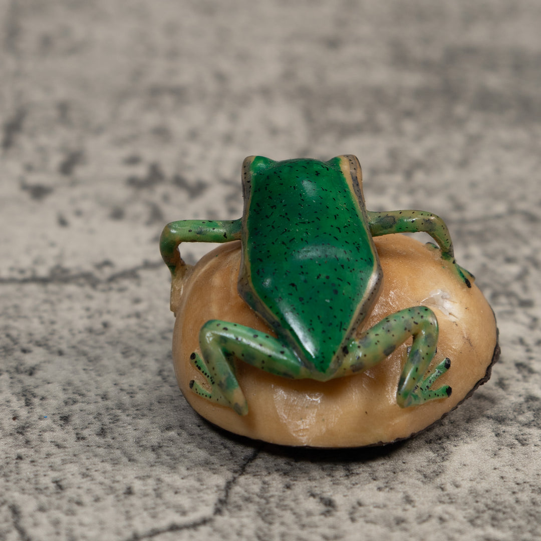 Green and Black Poison Dart Frog Tagua Carving