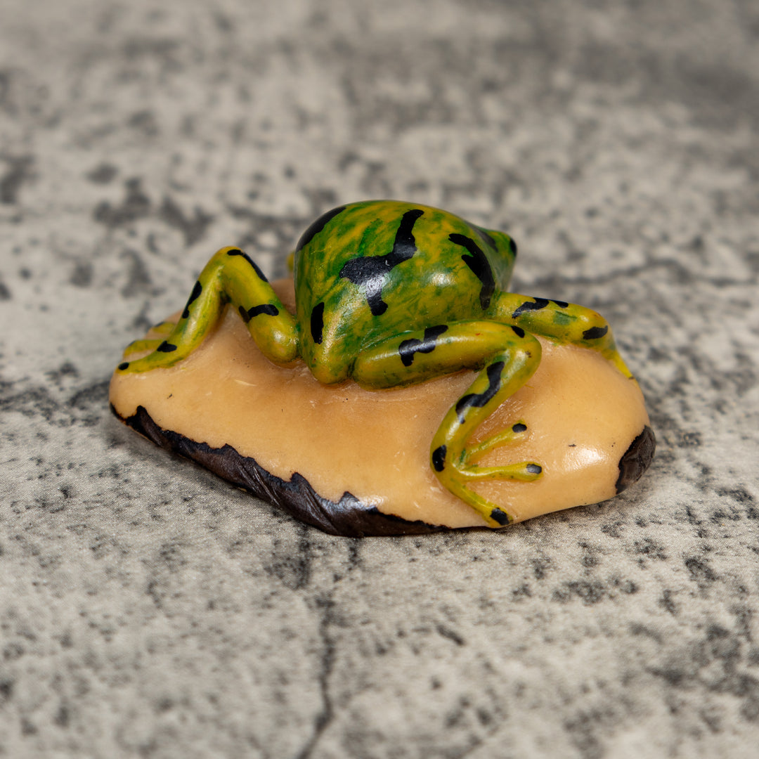 Vintage Green Gold And Black Frog Tagua Carving