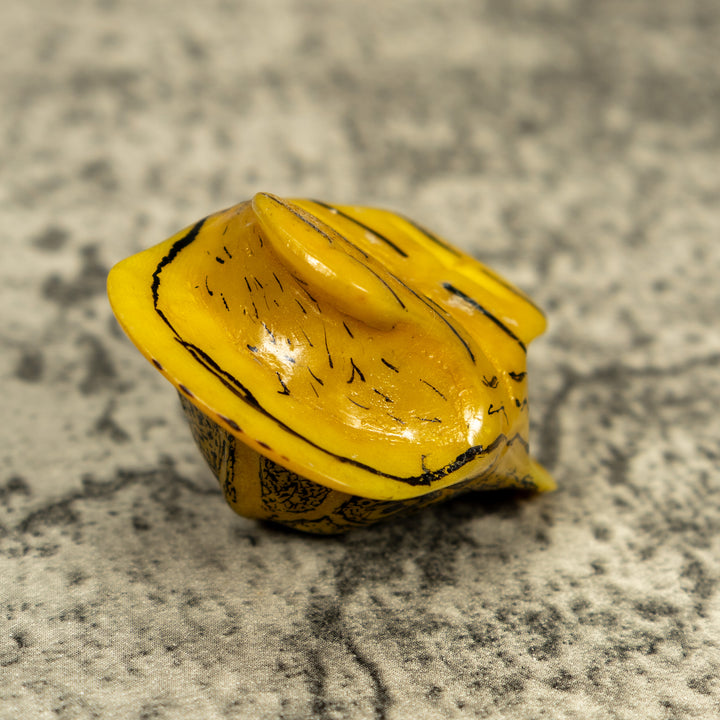 Vintage Turtle Shell Tagua Carving