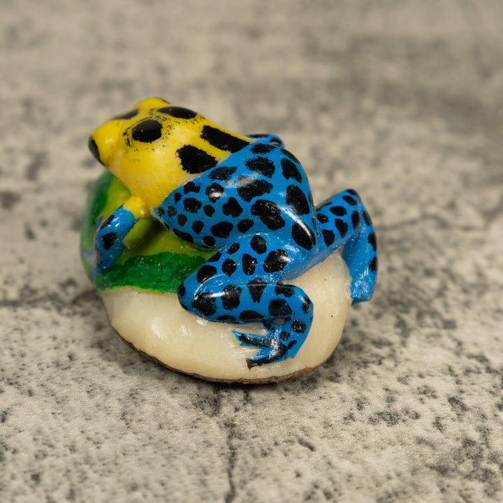 Blue And Yellow Poison Dart Frog Tagua Carving